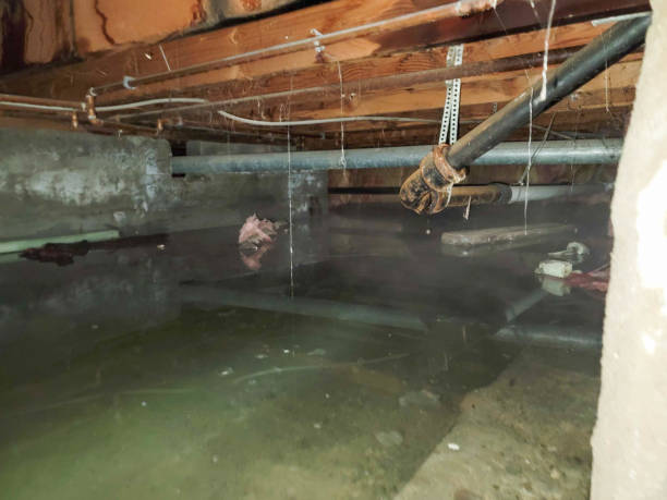 Sewage cleanup and water damage restoration in Rice Lake, MN