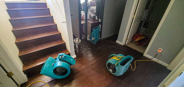 Best Local water damage restoration  in Rice Lake, MN