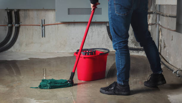 Best Flood restoration services  in Rice Lake, MN