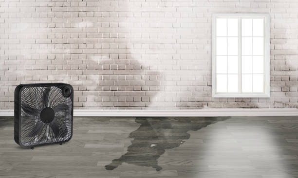 Trusted Rice Lake, MN Water damage restoration Experts
