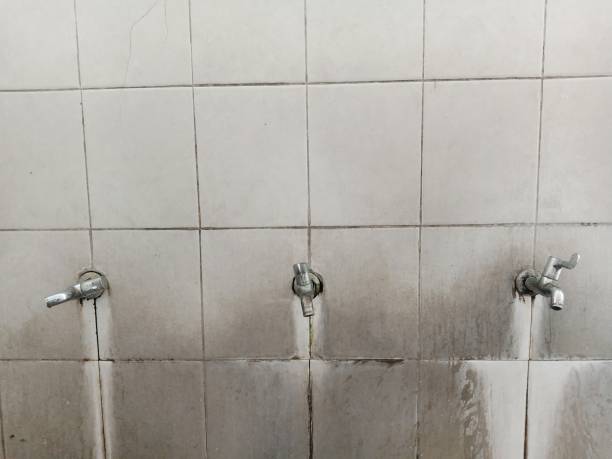 Best Flooded house restoration  in Rice Lake, MN