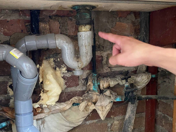 Best Water damage restoration near me  in Rice Lake, MN