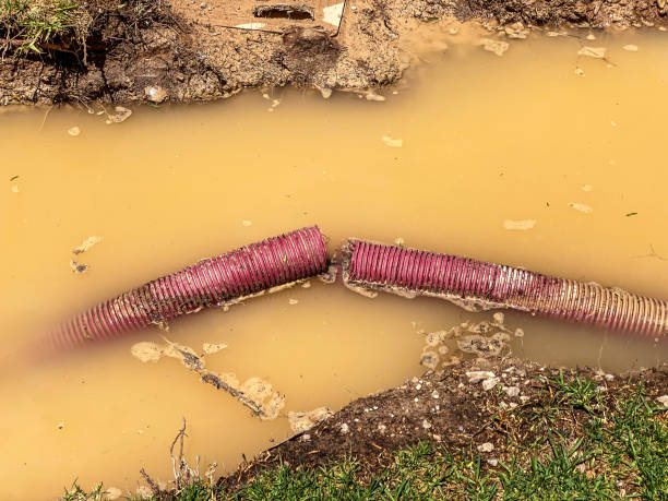 Best Emergency water damage restoration  in Rice Lake, MN