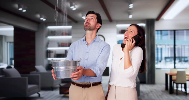 Best Commercial water damage restoration  in Rice Lake, MN