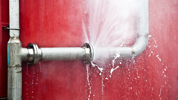 Best Fire Damage Restoration  in Rice Lake, MN